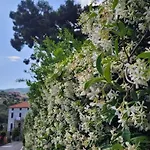 Vista Bella House * Sanremo