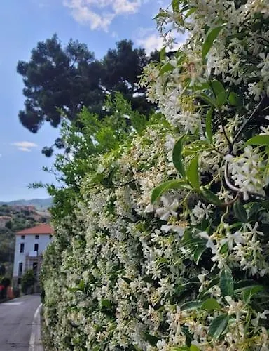 Vista Bella House * San Remo
